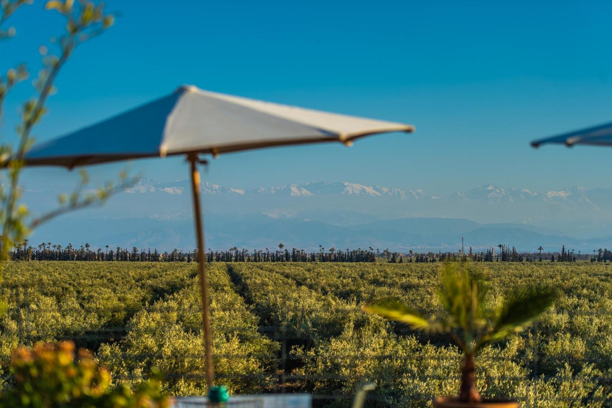 Riad Bab Ahmar Marrakesh Eksteriør bilde